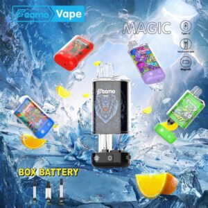 FEEMO BOX BATTERY 510 THREAD BATTERY 5CT